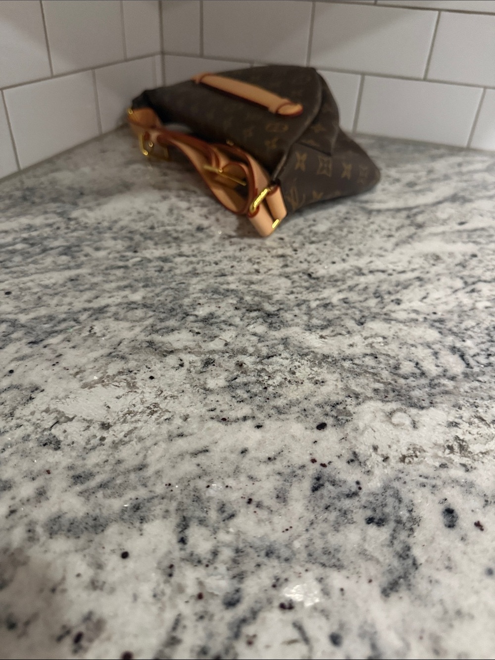 Crossbody Belt Bag